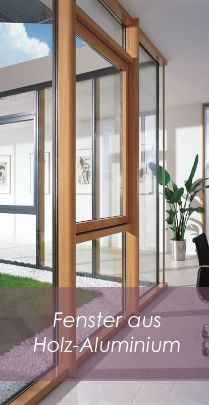 Fenster Holz Alu