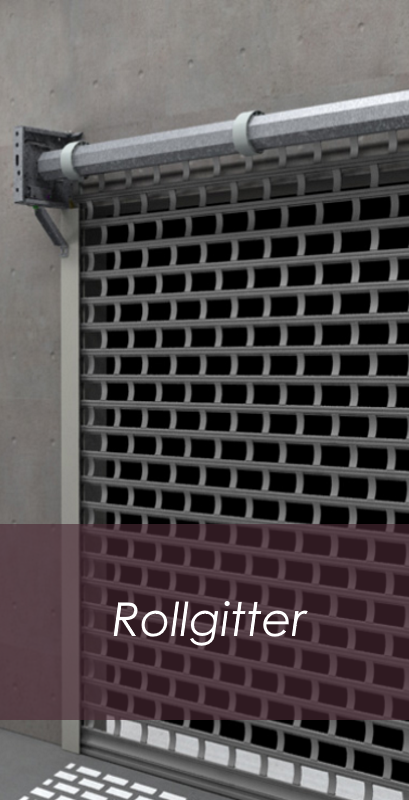 Garagentor Rollgitter