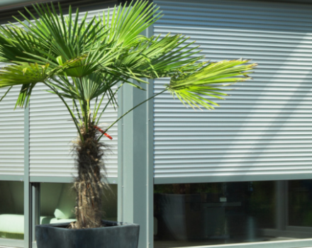 Vorbaurollladen_Objekt_RONDO_2